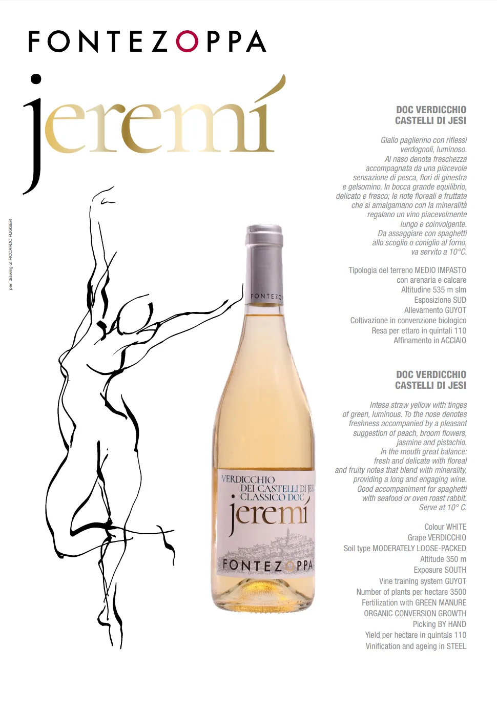 JEREMI' VERDICCHIO JESI 2018 MARCHE VINHO BRANCO - imagem 2