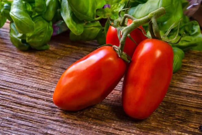 mangiamo italiano San Marzano tomato