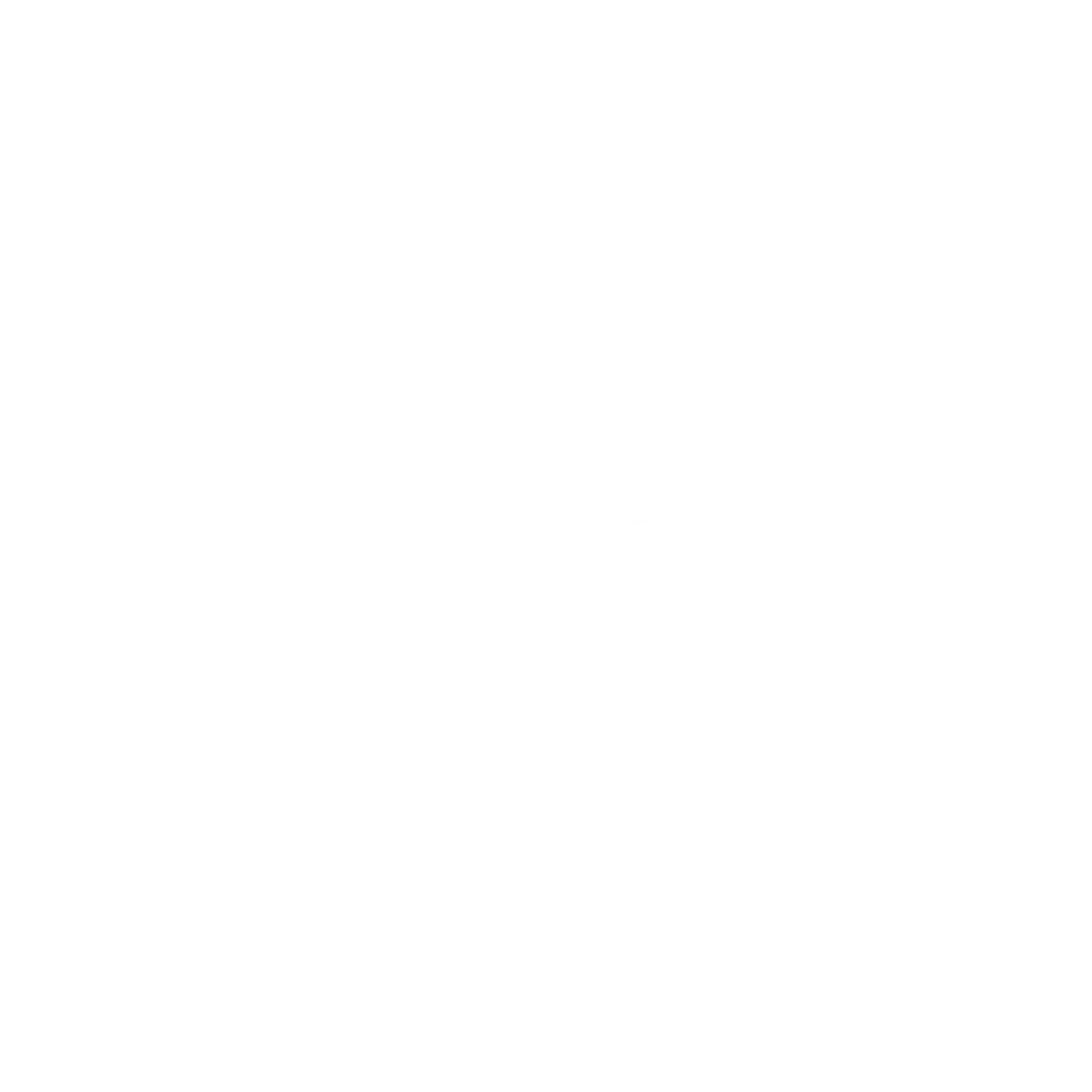 Tedesco Liquori Licores amargos artesanales de Calabria 1 logotipo blanco tedesco liquori