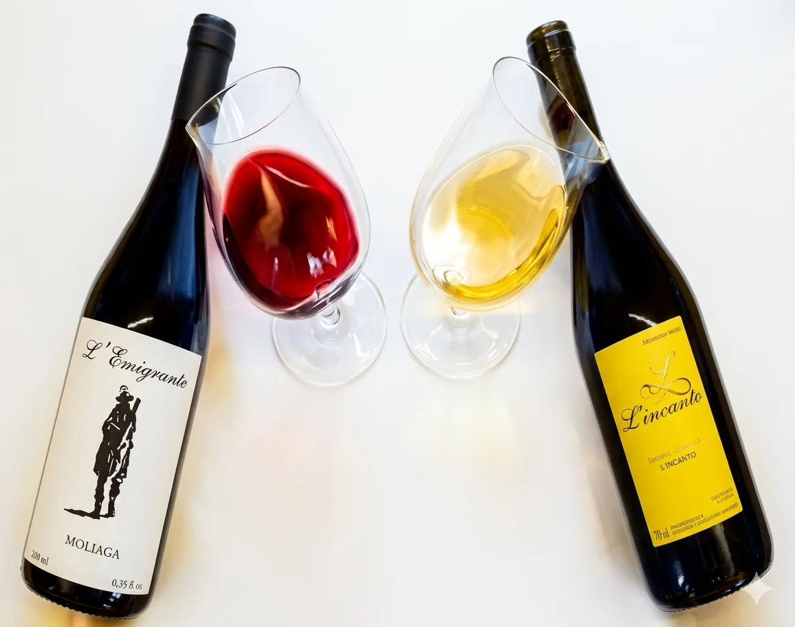 COFFRET DE VINS MIXTES 14% d'alcool